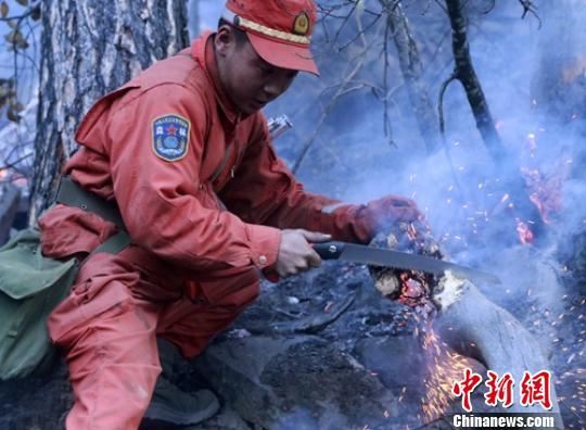 追踪：四川全力扑救雅江“2.16”森林火灾