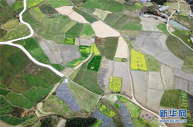 （空中之眼）（2）春来田园美如画