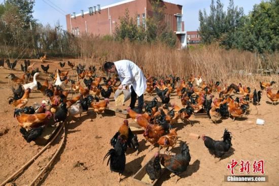 15394885378992772_56.jpg 15394885378992772_56.jpg