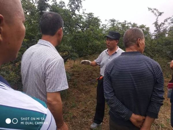 10340993042394119_52.jpg 10340993042394119_52.jpg