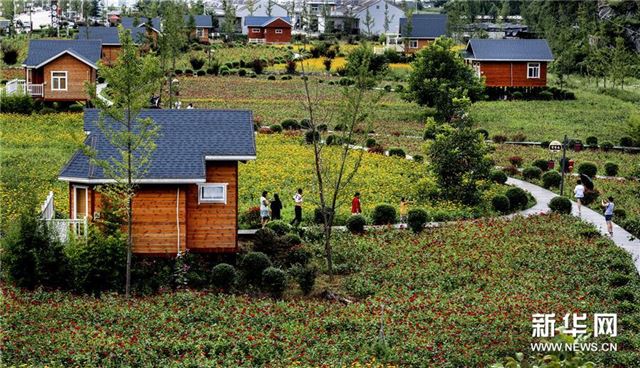 （美丽中国）（2）陕西洛南：鲜花木屋惹人醉