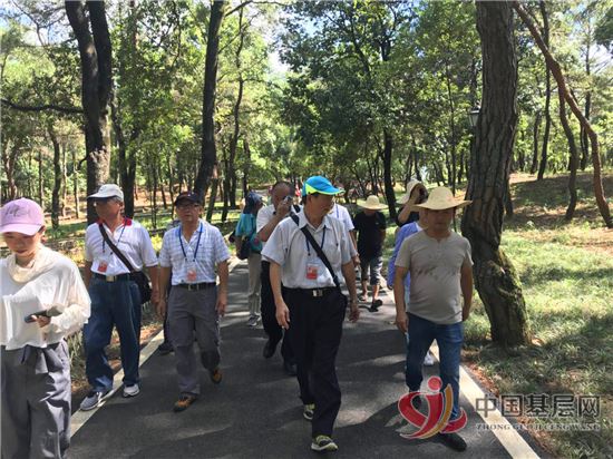 09445890655744786_54.jpg 09445890655744786_54.jpg