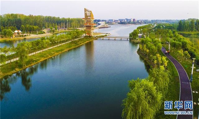 （环境）（3）河北枣强：废弃污水坑塘变身生态公园