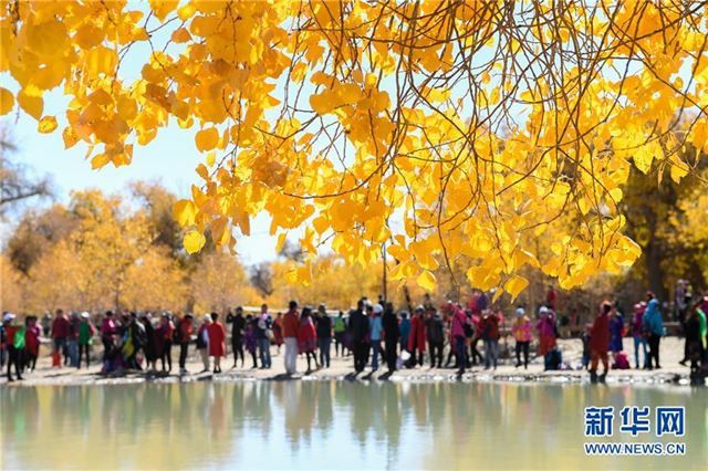 （美丽中国）（1）大美胡杨林