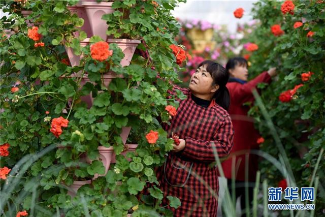 （经济）（2）河北南和：打造现代农业园区 农民变身“产业工人”