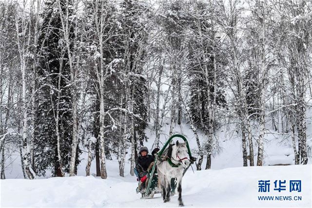 （美丽中国）（1）冬日喀纳斯