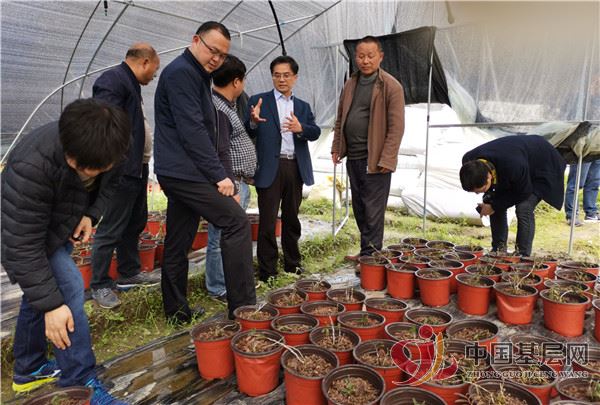 13354547484162365_49.jpg 13354547484162365_49.jpg