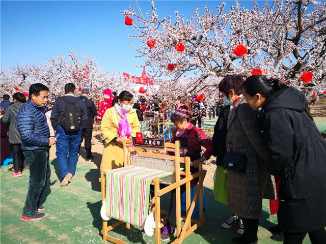 08433944141475563_80.jpg 08433944141475563_80.jpg