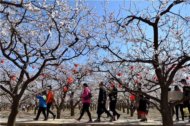 08435958105017284_80.jpg 08435958105017284_80.jpg