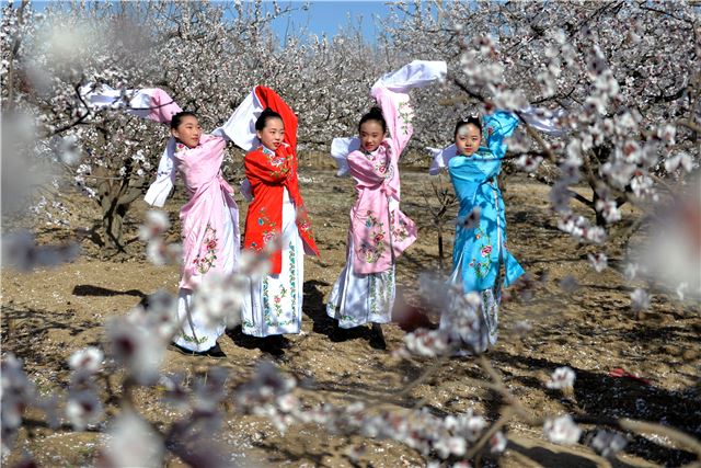 08444452476184075_80.jpg 08444452476184075_80.jpg