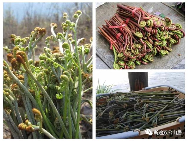 18283994575028518_76.jpg 18283994575028518_76.jpg