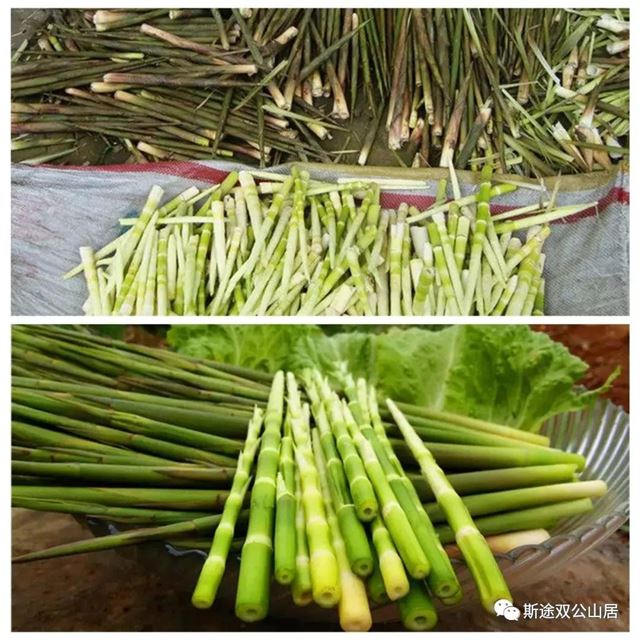 1828583382564733_76.jpg 1828583382564733_76.jpg