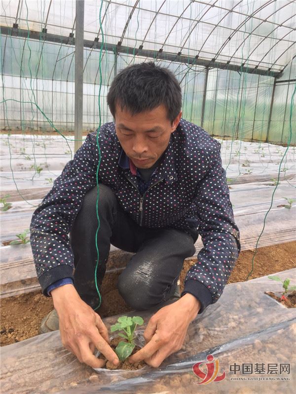 19512452517701779_49.jpg 19512452517701779_49.jpg