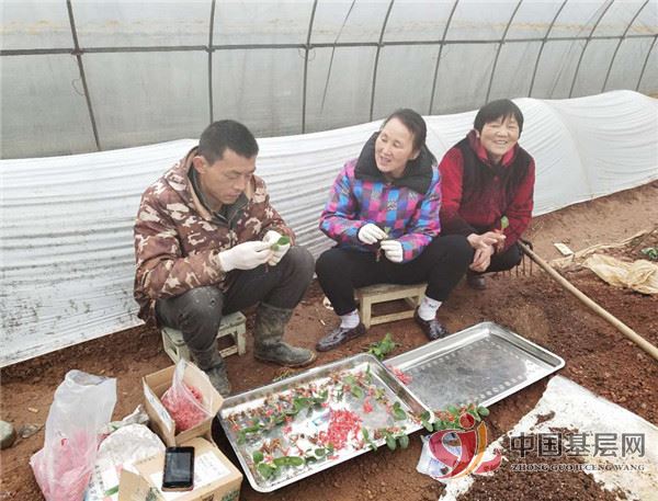 19514608432804041_49.jpg 19514608432804041_49.jpg