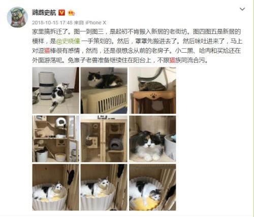 史航在微博晒猫。微博截图 点击进入下一页
