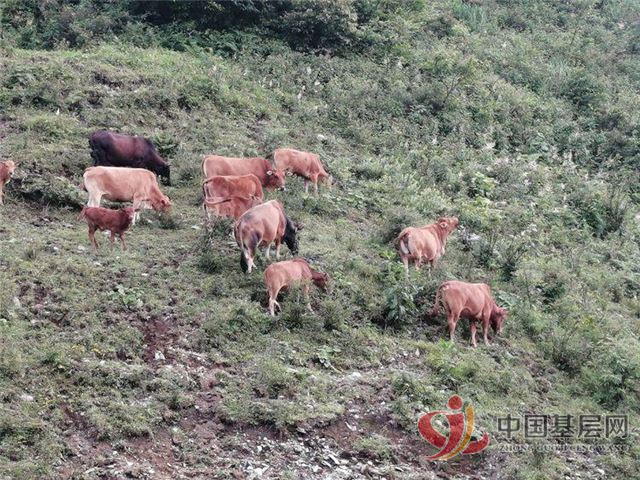 18560388275931578_75.jpg 18560388275931578_75.jpg