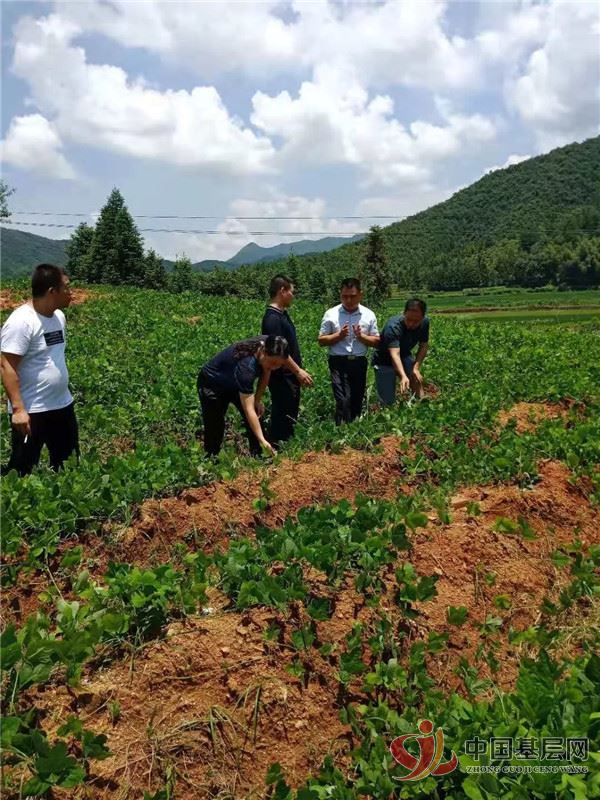 11185032157902923_49.jpg 11185032157902923_49.jpg