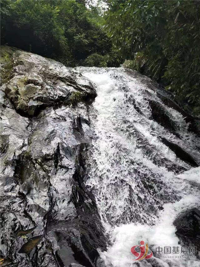 08304083124298645_75.jpg 08304083124298645_75.jpg