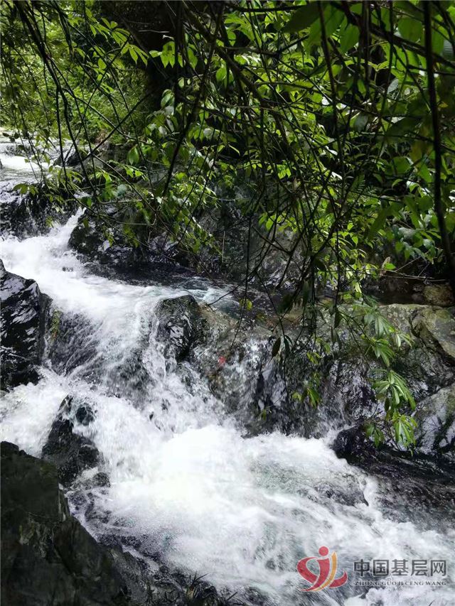 08313887896852264_75.jpg 08313887896852264_75.jpg