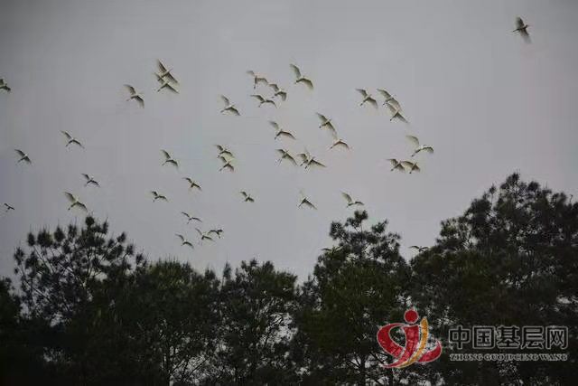 09031545331259960_72.jpg 09031545331259960_72.jpg