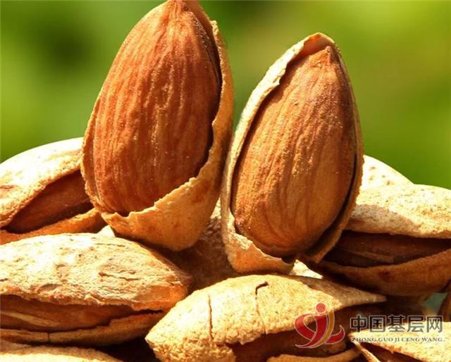 0121026718101572_86.jpg 0121026718101572_86.jpg