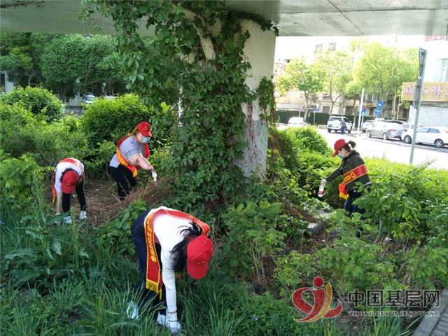 20291159219855333_86.jpg 20291159219855333_86.jpg