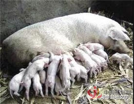 18091848723763945_92.jpg 18091848723763945_92.jpg