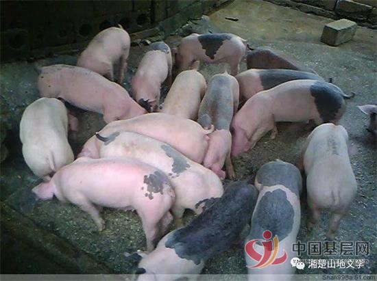 18100205817830299_92.jpg 18100205817830299_92.jpg