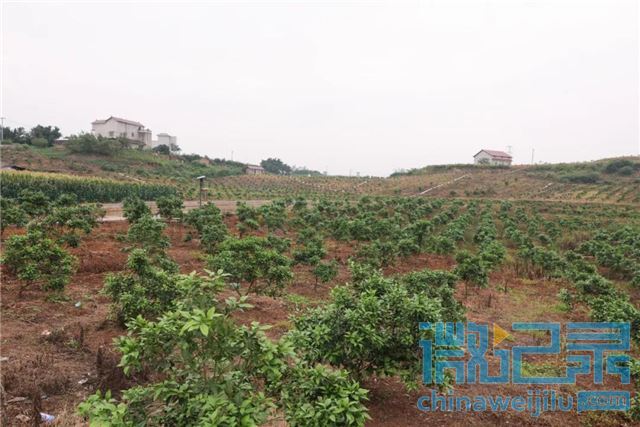 20523666454908353_16.jpg 20523666454908353_16.jpg