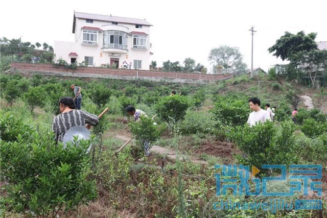 20525164056493300_16.jpg 20525164056493300_16.jpg