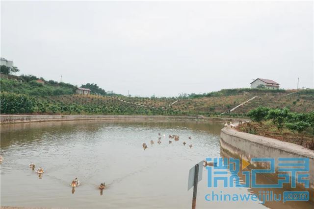 205306585330096_16.jpg 205306585330096_16.jpg