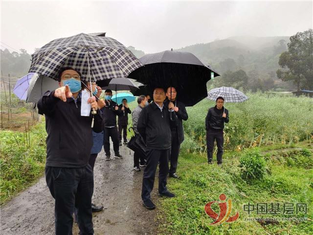 2032005188860403_89.jpg 2032005188860403_89.jpg