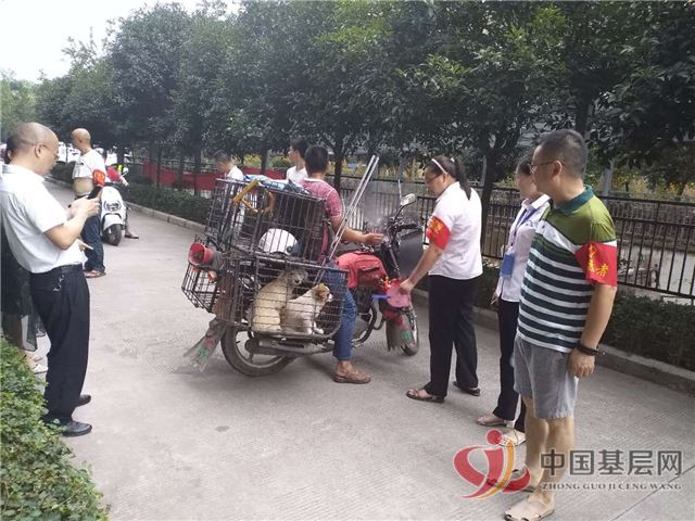 09503043563233386_89.jpg 09503043563233386_89.jpg