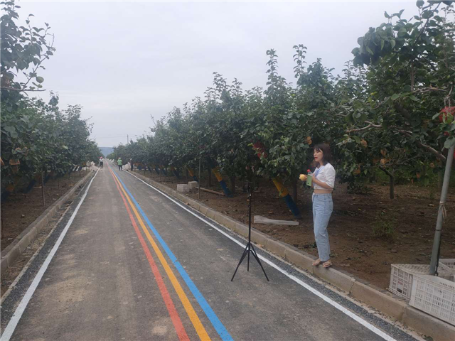 1599182550892937.png 图片1.png