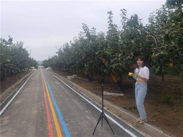 1599182717810796.png 图片2.png