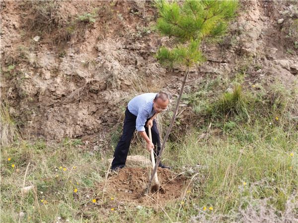 14304250007335823_83.jpg 14304250007335823_83.jpg