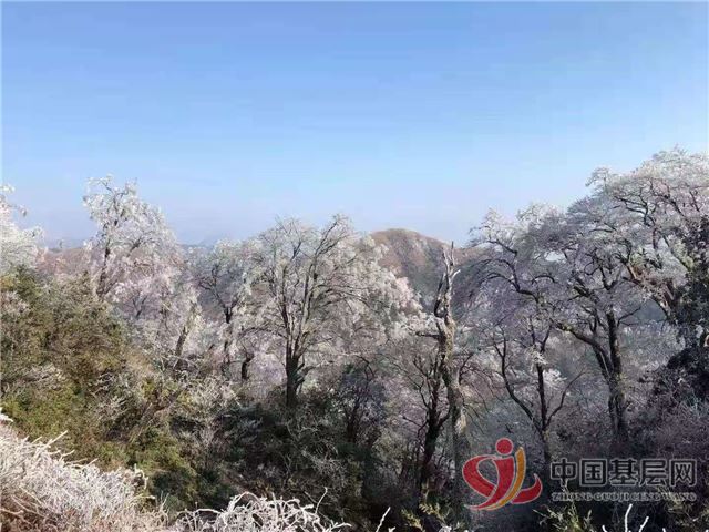 21443531927983955_72.jpg 21443531927983955_72.jpg