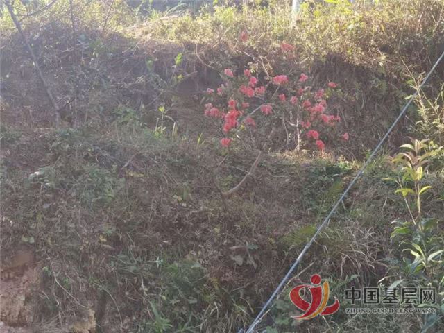 21453232179882107_72.jpg 21453232179882107_72.jpg