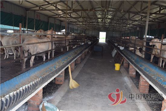 10484196073932826_42.jpg 10484196073932826_42.jpg