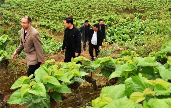 14325229938197422_110.jpg 14325229938197422_110.jpg