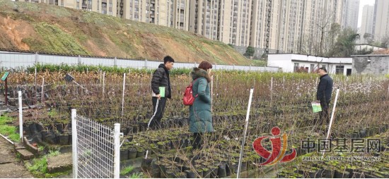 0028024713774964_105.png 0028024713774964_105.png