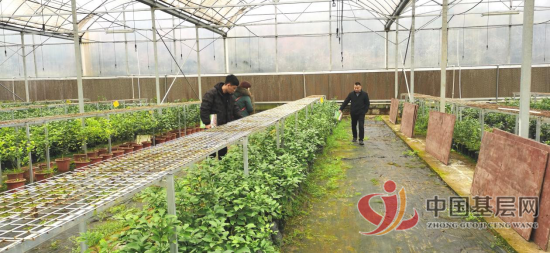 00283869467429151_105.png 00283869467429151_105.png