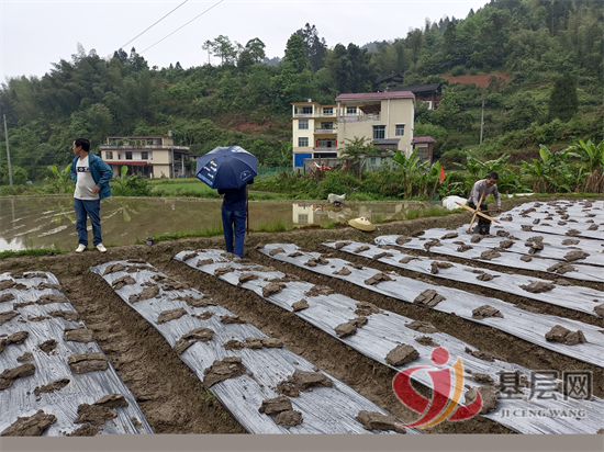 08205277756943123_92.png 08205277756943123_92.png