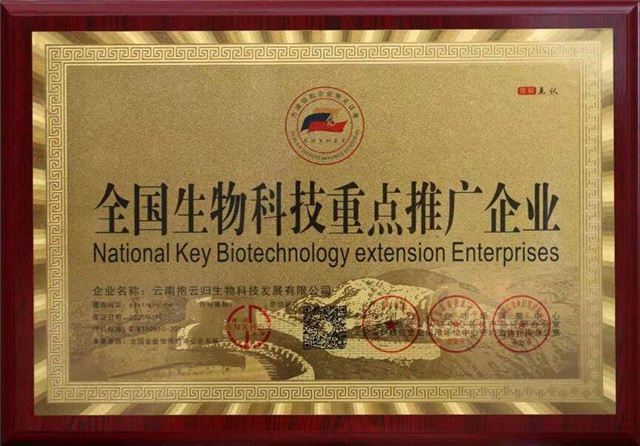 文本

描述已自动生成