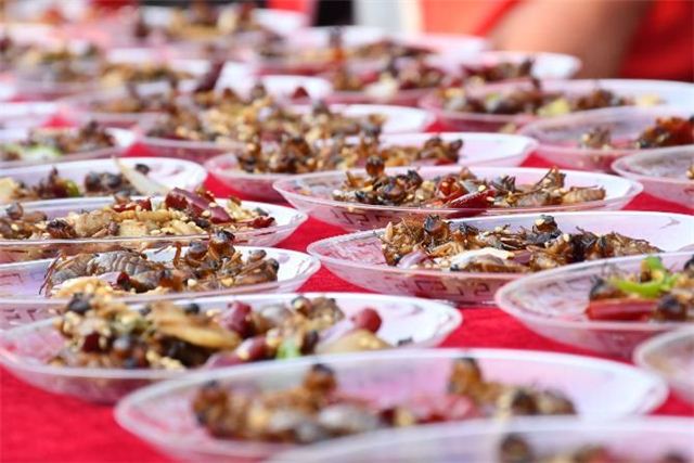 11285312058315175_108.jpg 11285312058315175_108.jpg