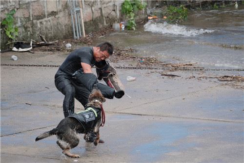 北京昌平:反恐应急处突综合演练 水陆空联勤联动深耕反恐体系