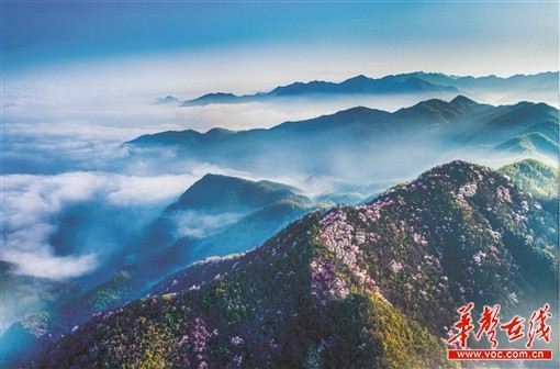 15334447789113215_105.jpg 15334447789113215_105.jpg