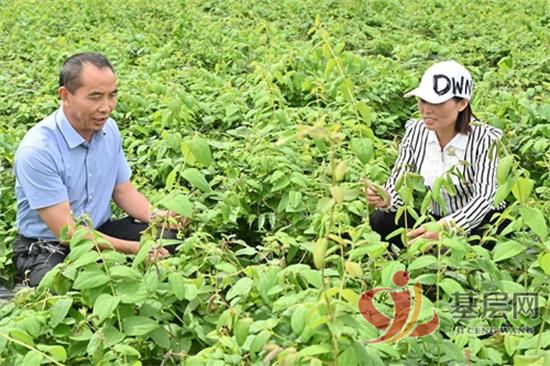 15262584365106093_92.jpg 15262584365106093_92.jpg