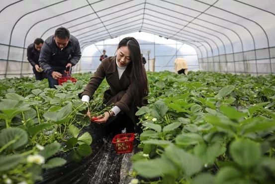 10011849151821100_105.jpg 10011849151821100_105.jpg