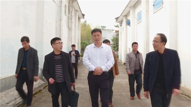 21041252391173892_105.jpg 21041252391173892_105.jpg